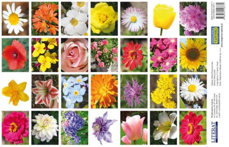 Literat, kwiaty, naklejki