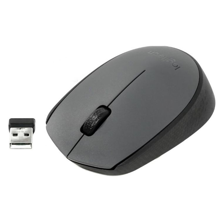 Logitech, M170, mysz optyczna, 910-004642