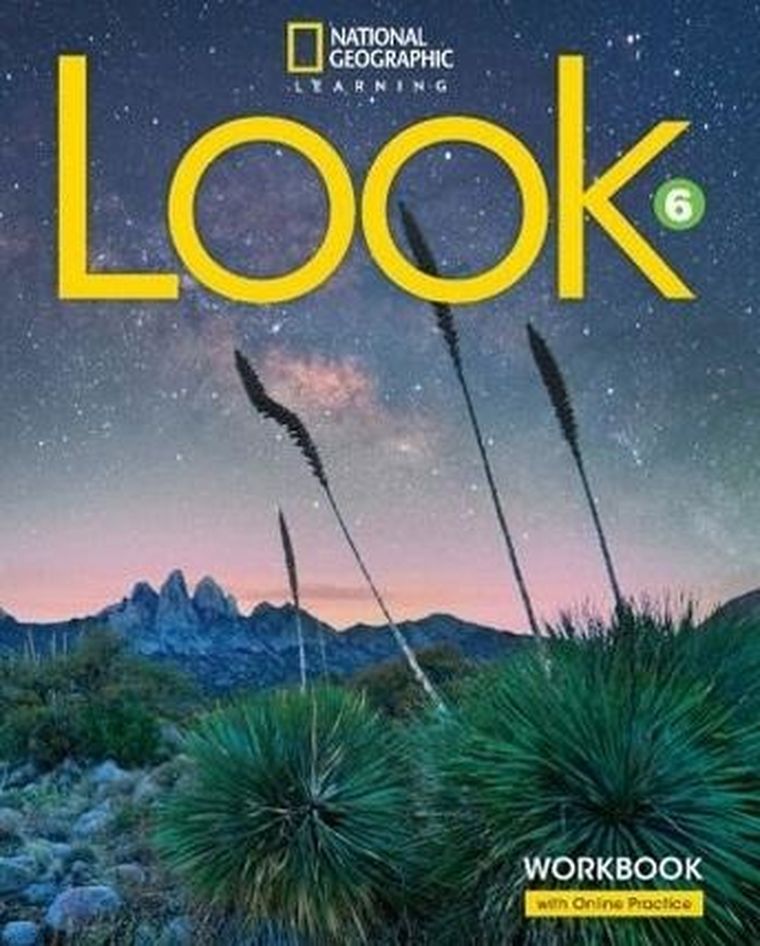 Look B1. Level 6. Workbook