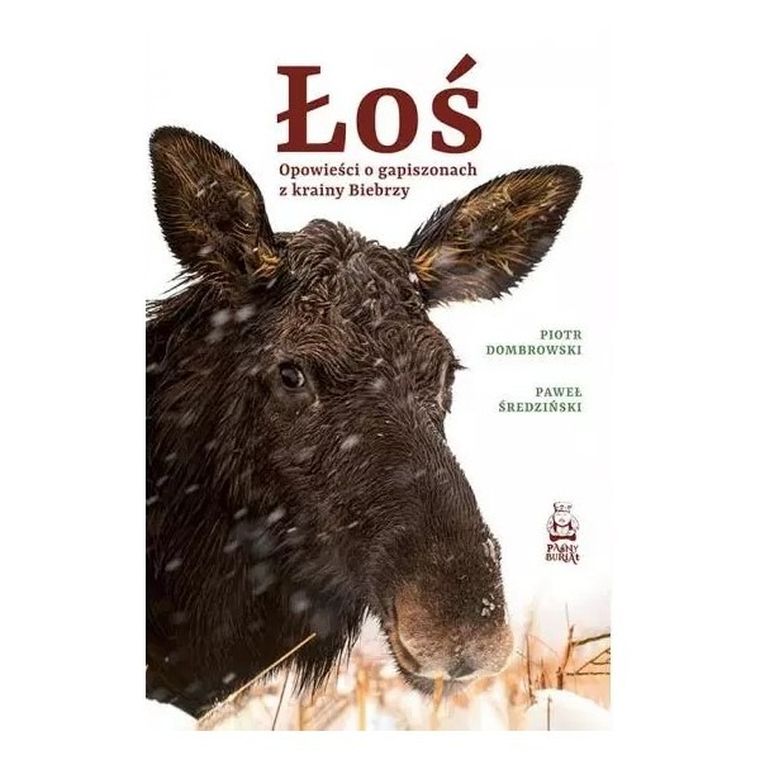 Łoś. Opowieści o gapiszonach z krainy Biebrzy