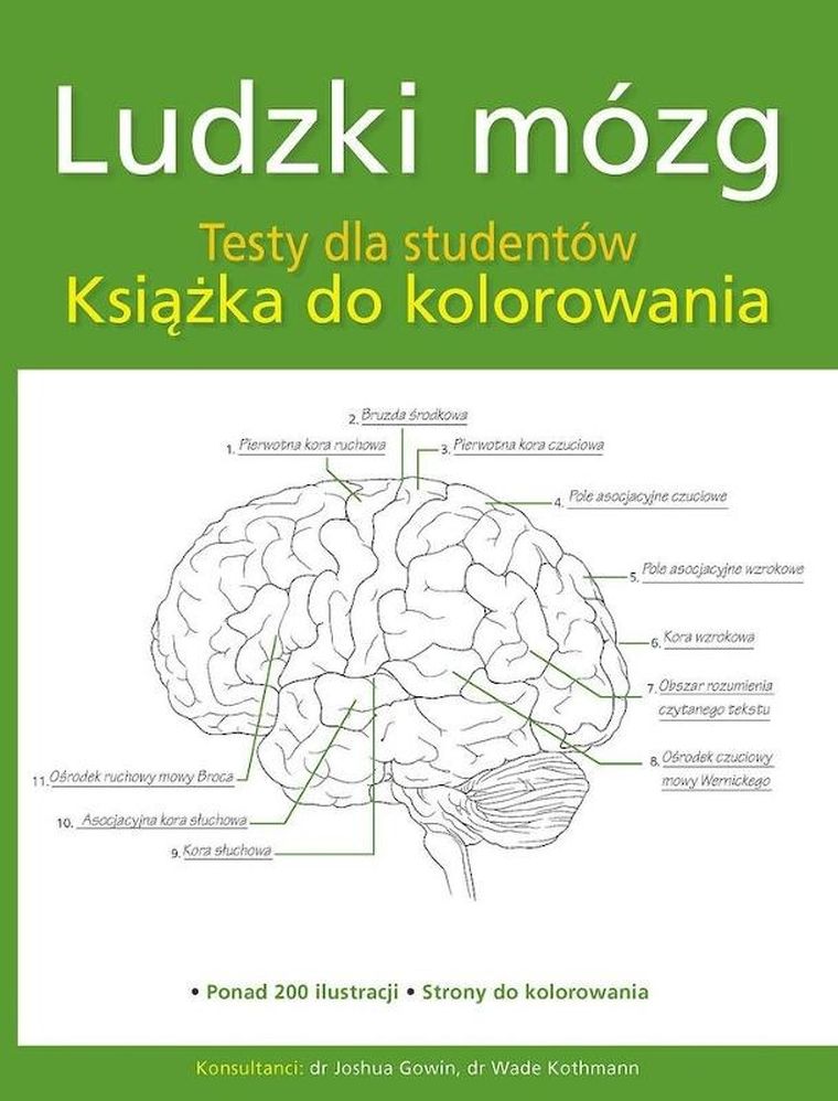 Ludzki mózg. Testy dla studentów. Książka do kolorowania