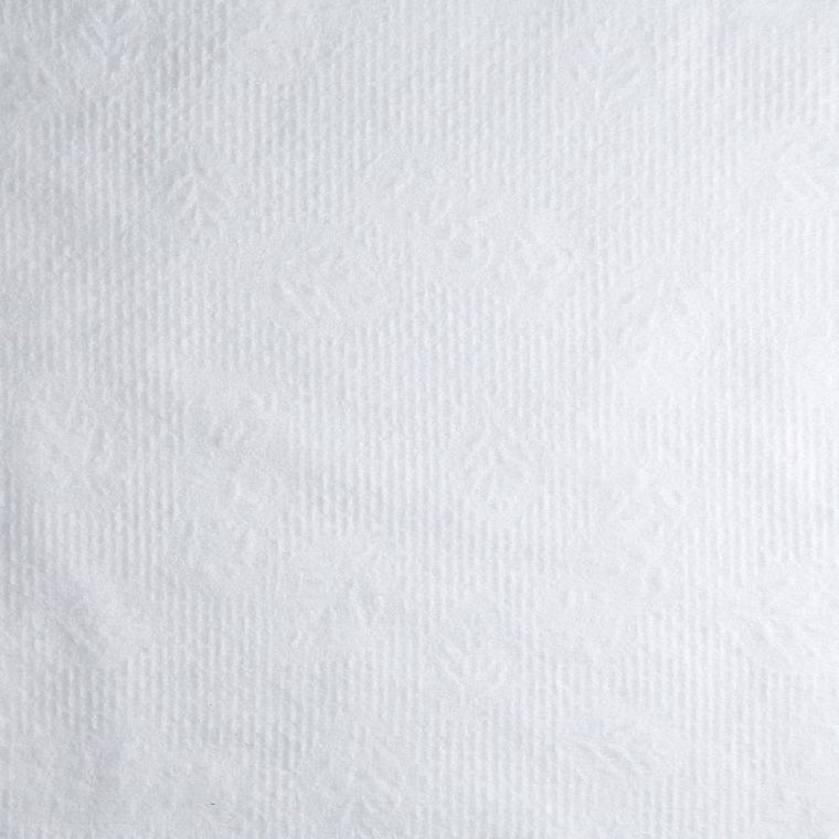 Lussoni, ręczniki włókninowe Bio-Eko, 70-50 cm, 100 szt.