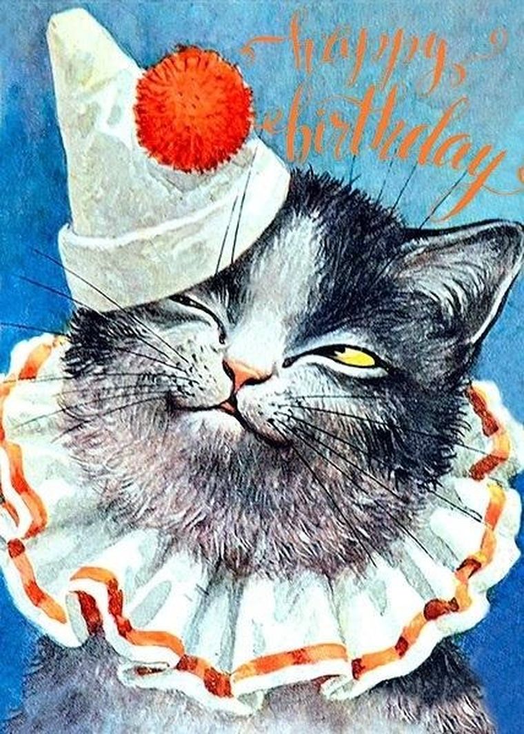 Madame Treacle, karnet B6 urodzinowy z kopertą, Kot klaun