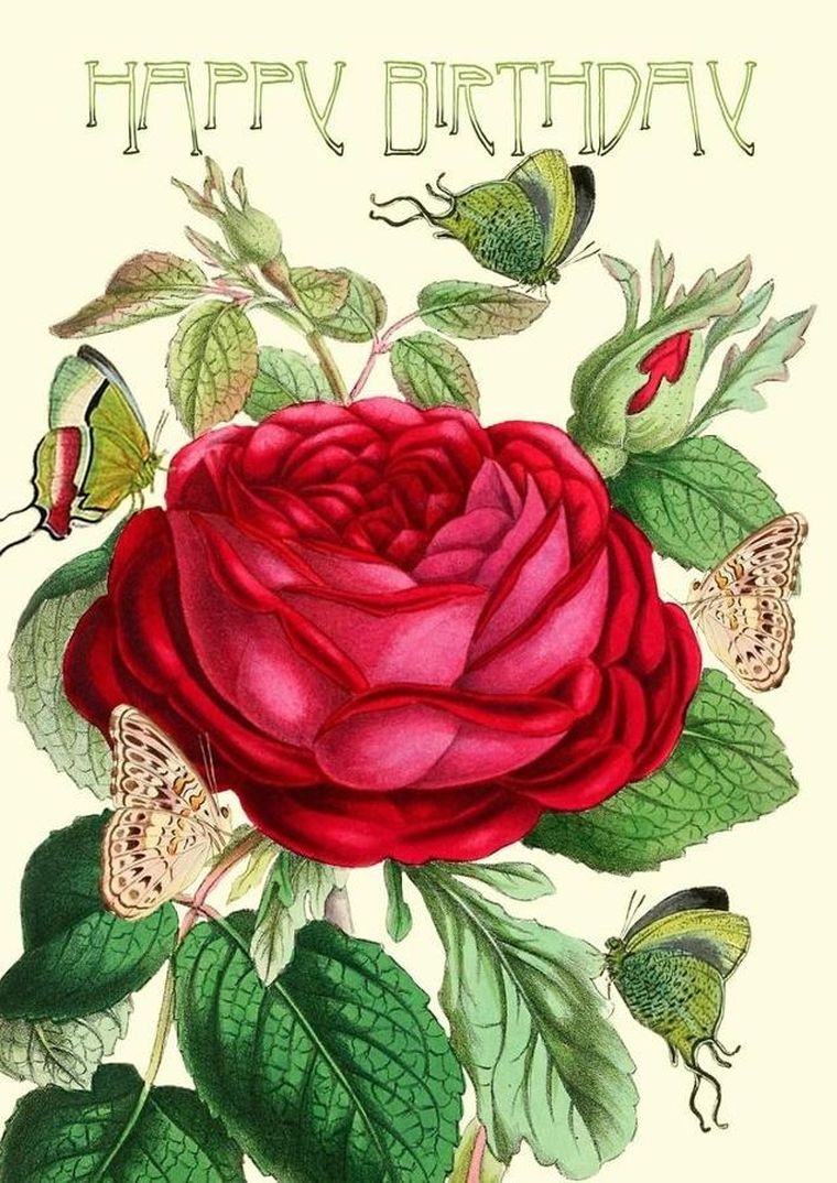 Madame Treacle, karnet B6 z brokatem i kopertą, Urodziny, Róża