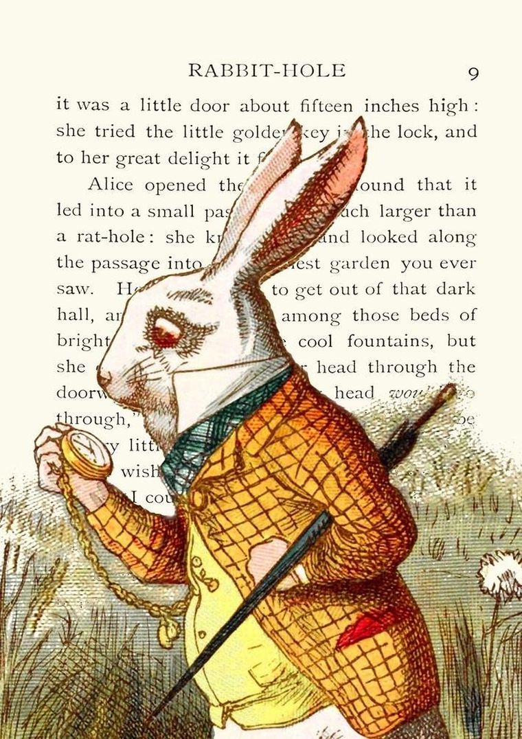 Madame Treacle, karnet B6 z kopertą, Alicja w krainie czarów