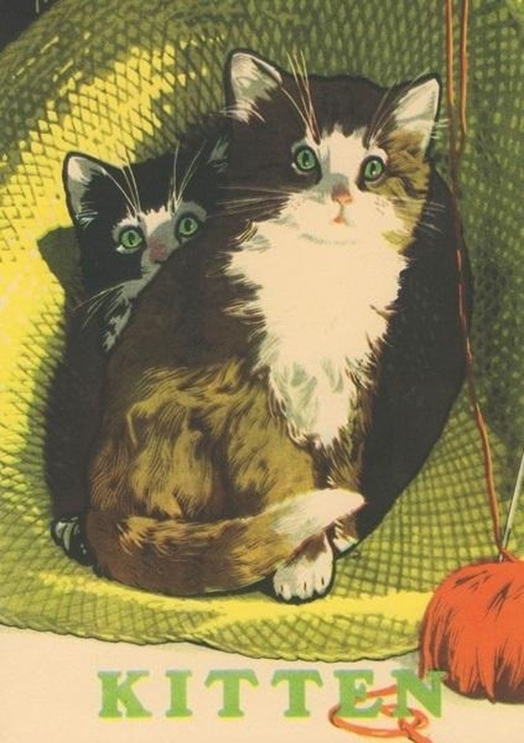 Madame Treacle, karnet B6 z kopertą, Dwa kotki