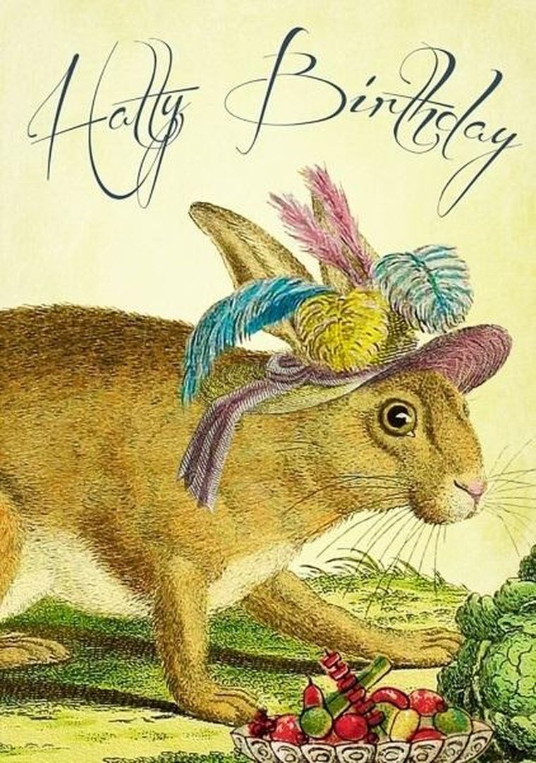 Madame Treacle, karnet B6 z kopertą, Urodziny, Królik w kapeluszu