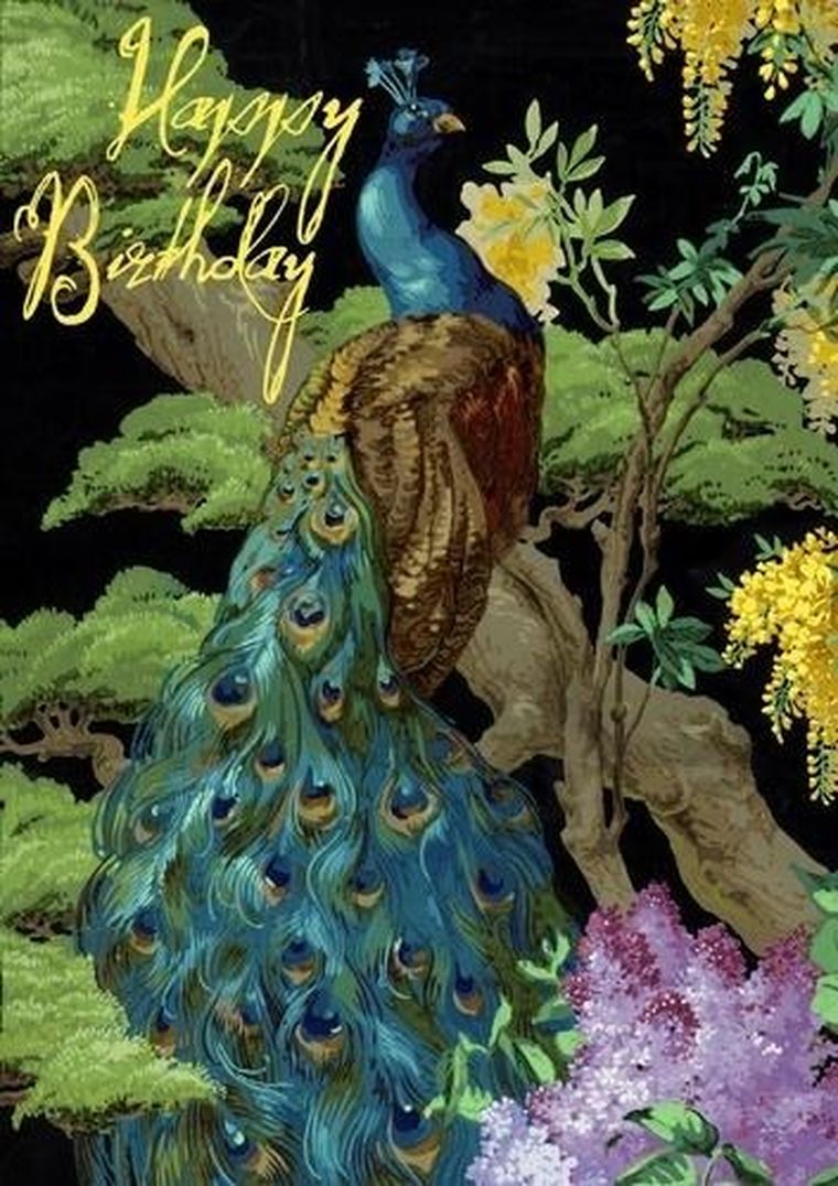 Madame Treacle, karnet B6 z kopertą, Urodziny, Paw