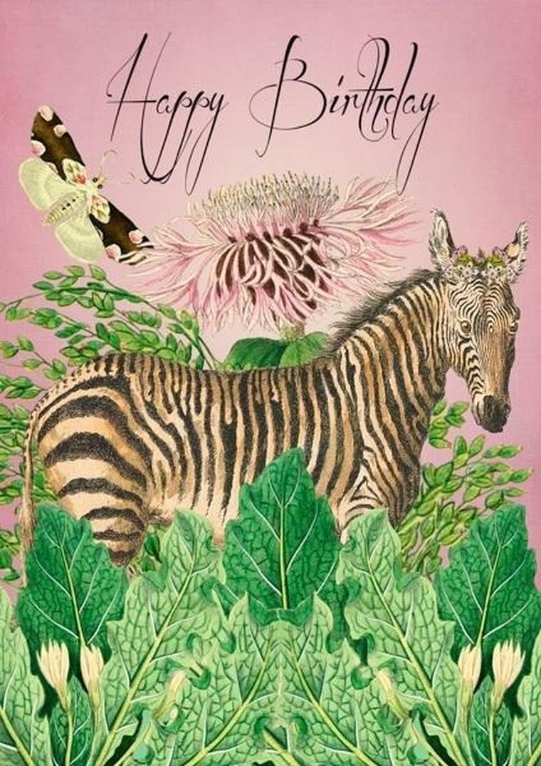 Madame Treacle, karnet B6 z kopertą, Urodziny, Zebra