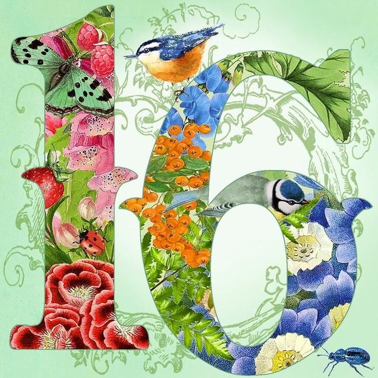 Madame Treacle, karnet kwadratowy z kopertą, Urodziny, 16