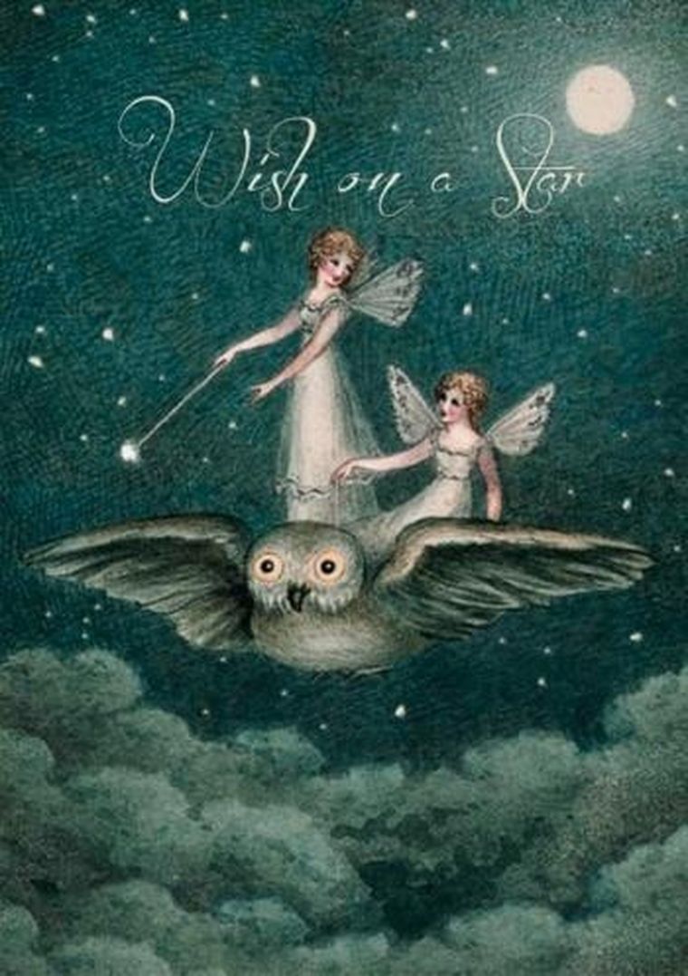 Madame Treacle, karnet z kopertą B6, Gwiazdka z nieba