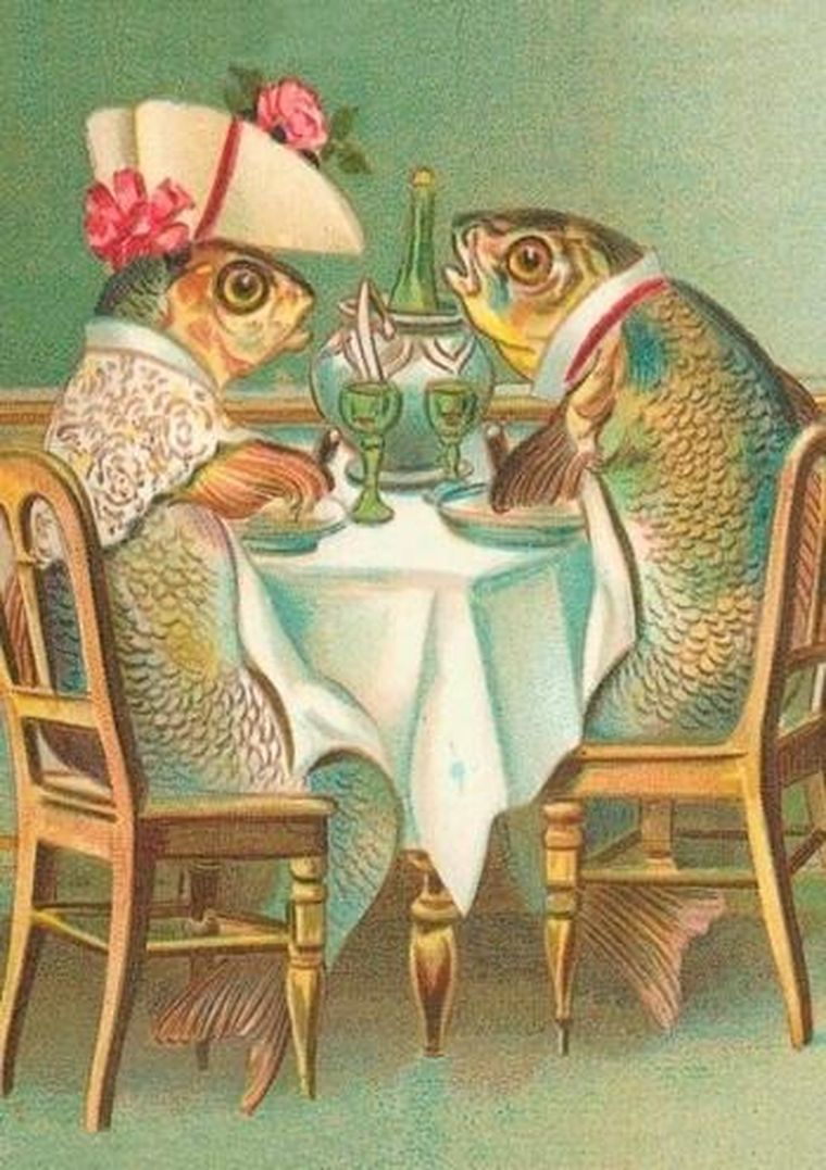 Madame Treacle, karnet z kopertą B6, Ryby na kolacji