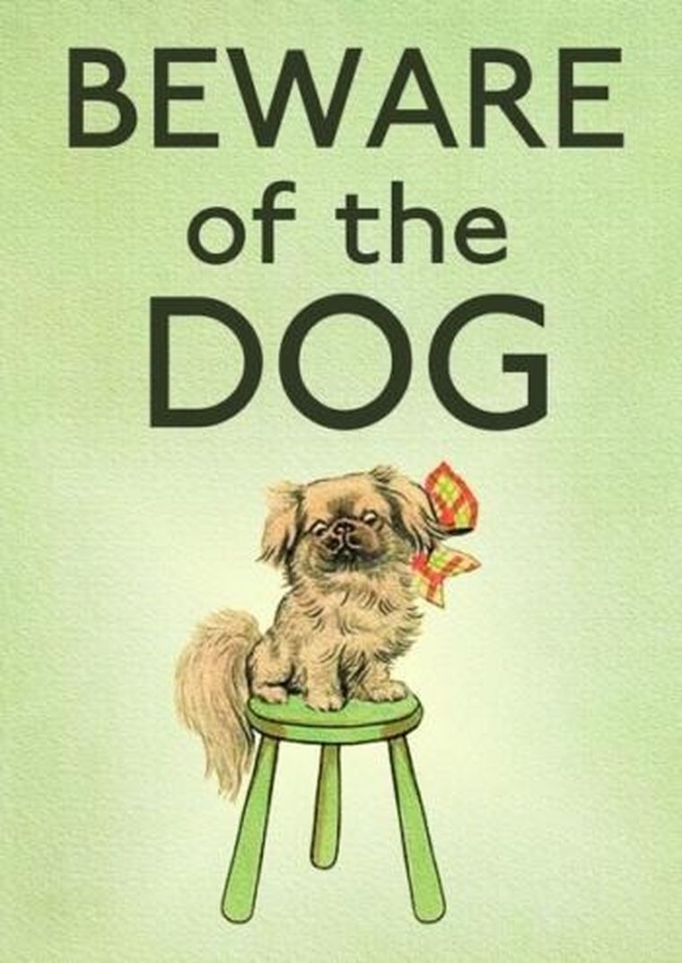 Madame Treacle, karnet z kopertą B6, Strzeż się psa