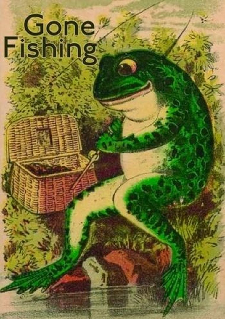 Madame Treacle, karnet z kopertą B6, Żaba na rybach