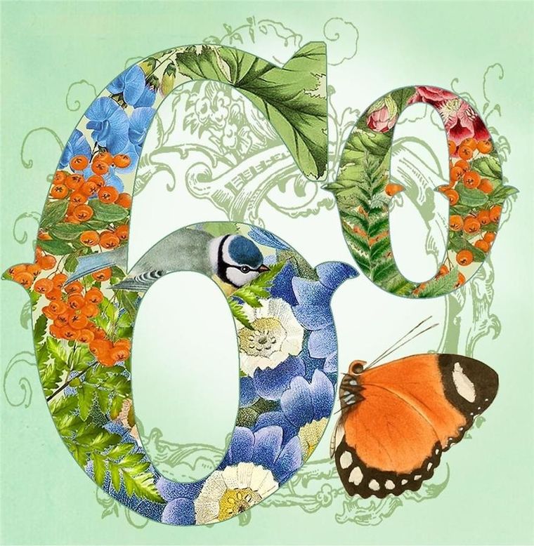 Madame Treacle, karnet z kopertą, Urodziny 60