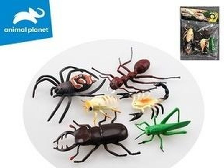 Madej, owady, zestaw figurek, 6 szt.