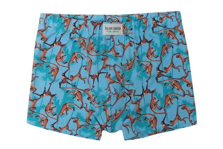 Majtki bokserki chłopięce, turkusowo-brązowe, Hugon, Italian Fashion