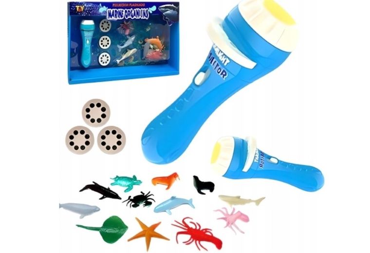 Maksik, projektor ze slajdami, ocean