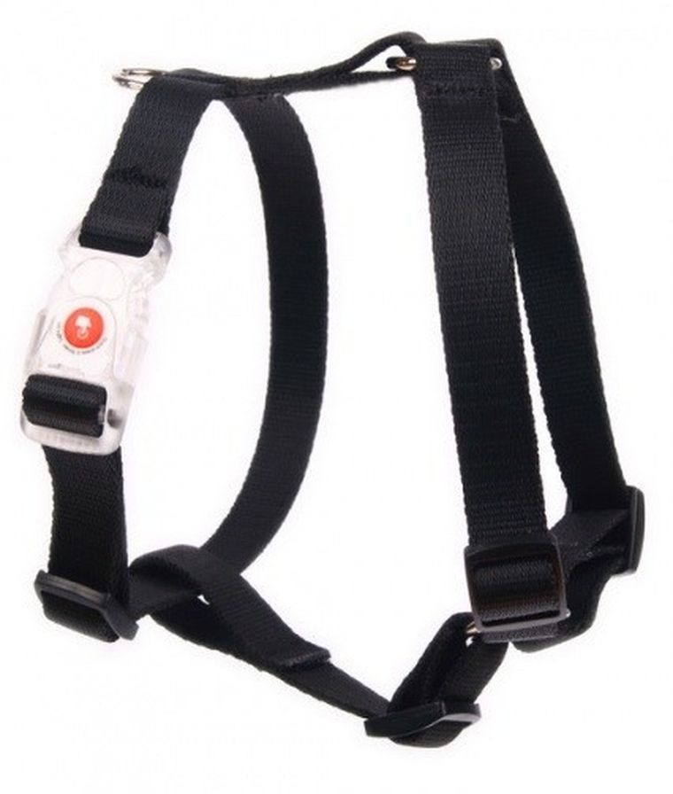 Matteo, guard, szelki dla psa, czarne, 30-50 cm