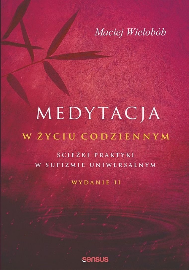 Medytacja w życiu codziennym. Ścieżki praktyki w sufizmie uniwersalnym