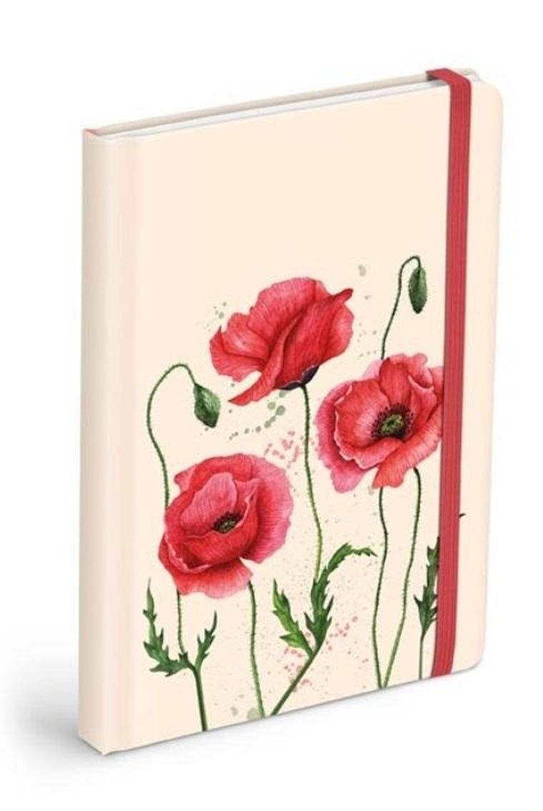 MFP, brulion z gumką, gładki, 120 kartek, 1 szt.