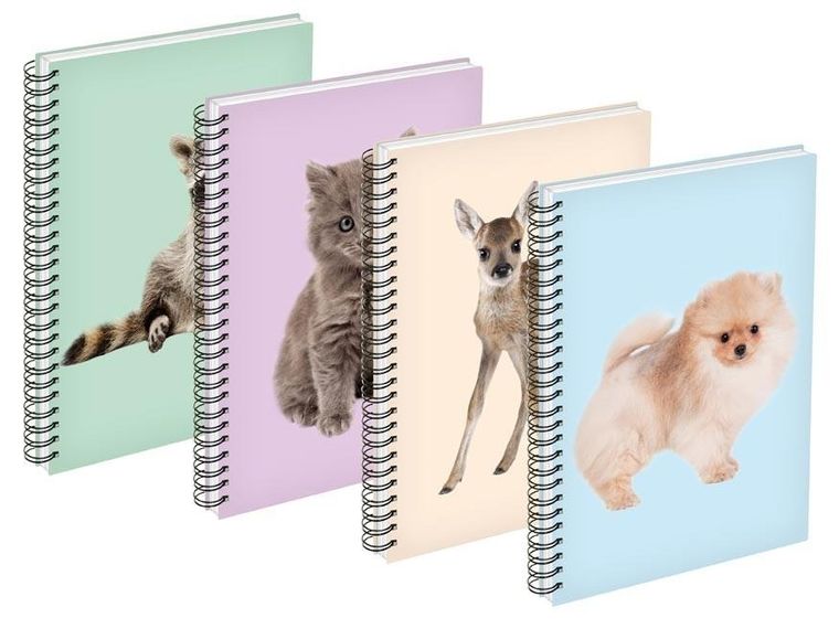 MFP, kołozeszyt A6, 80 kartek, linia, 1 szt.