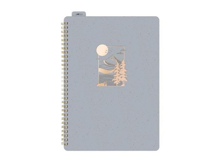 MFP, kołozeszyt z gumką A4, 80 kartek, linia, szary, 1 szt.