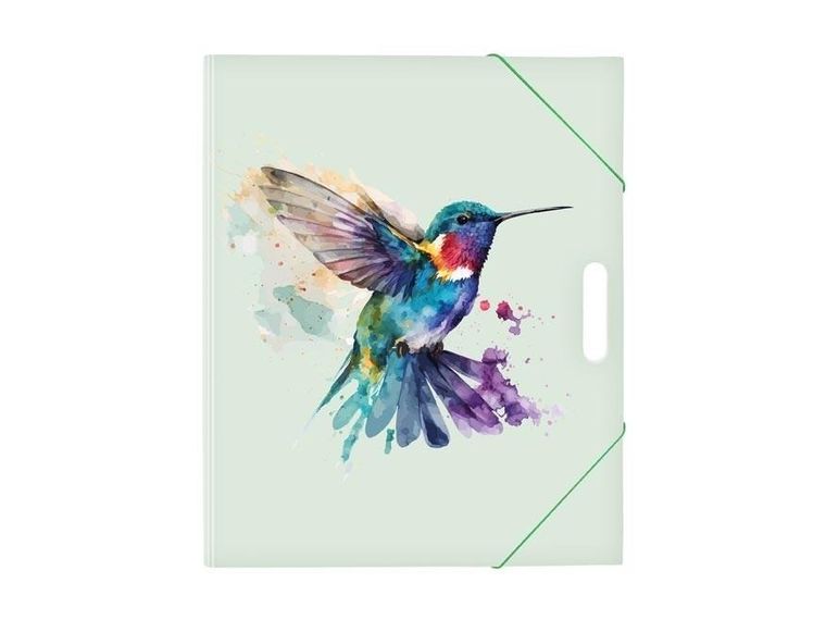 MFP, teczka z gumką A4, Koliber, 1 szt.