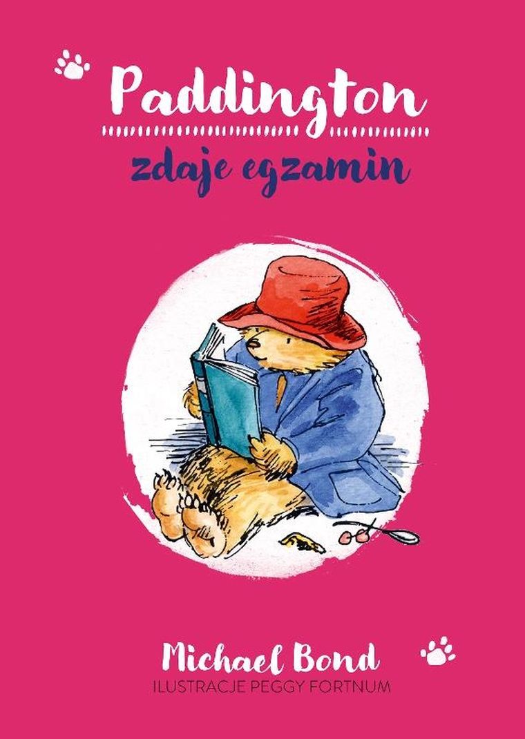 Miś Paddington zdaje egzamin