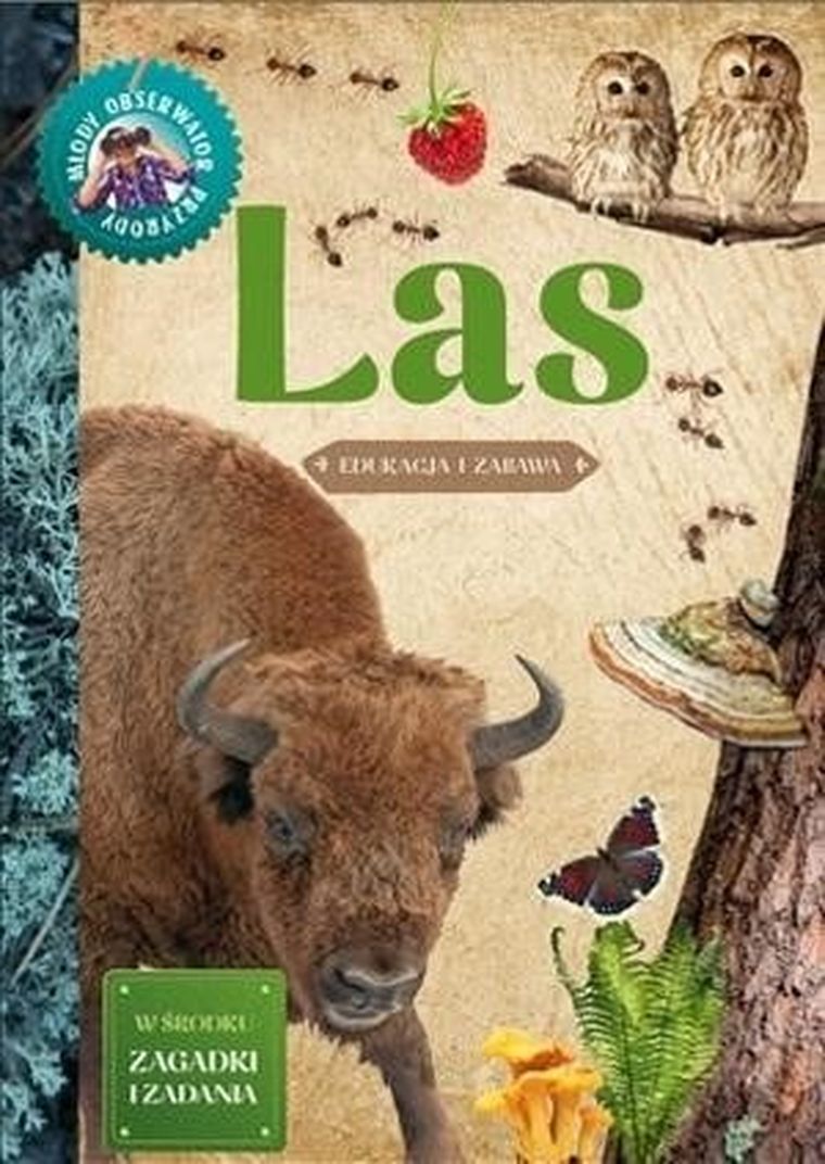 Młody Obserwator Przyrody - Las