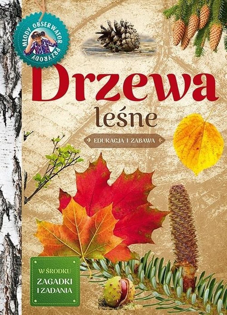 Młody obserwator przyrody. Drzewa leśne