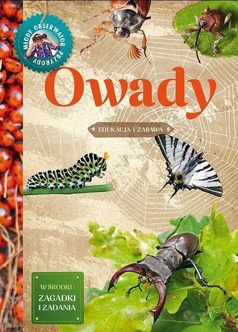 Młody Obserwator Przyrody. Owady