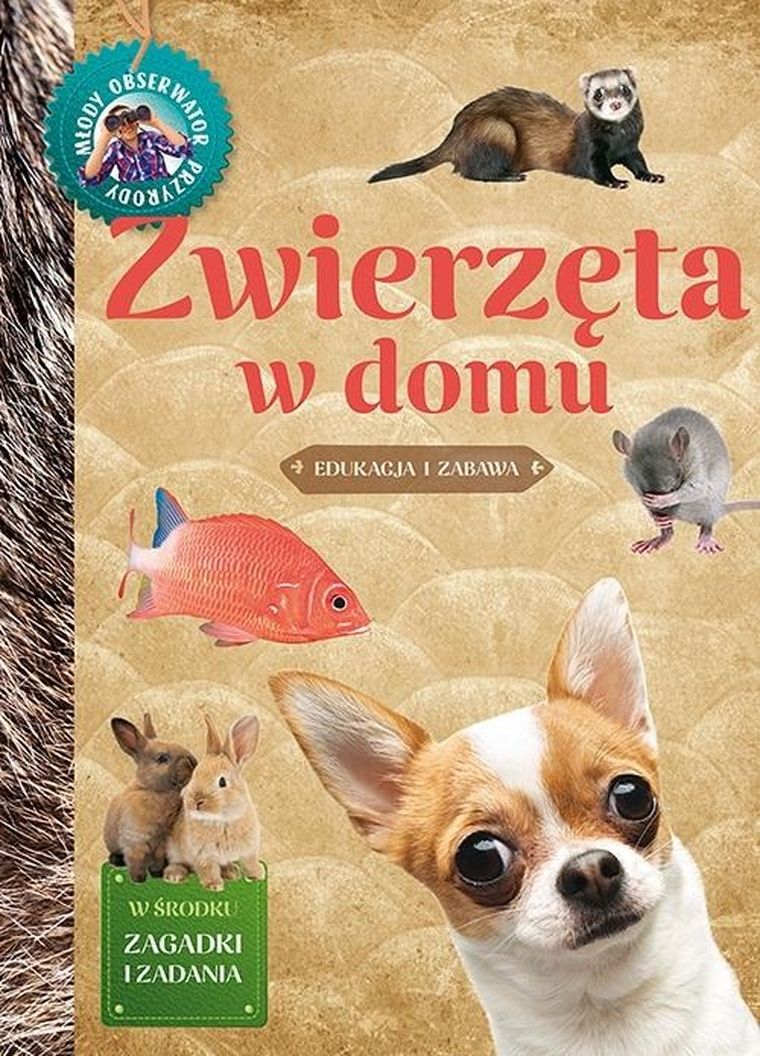 Młody Obserwator Przyrody. Zwierzęta w domu