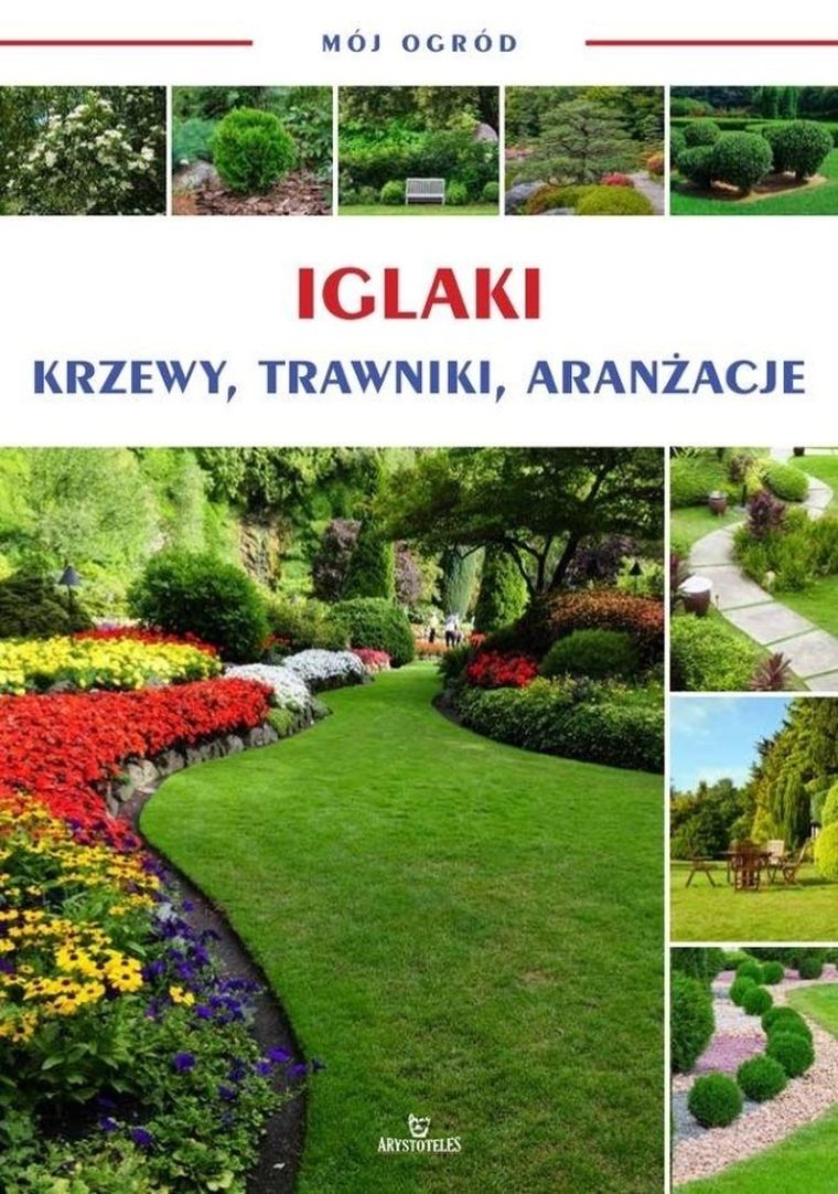 Mój ogród. Iglaki: krzewy, trawniki, aranżacje