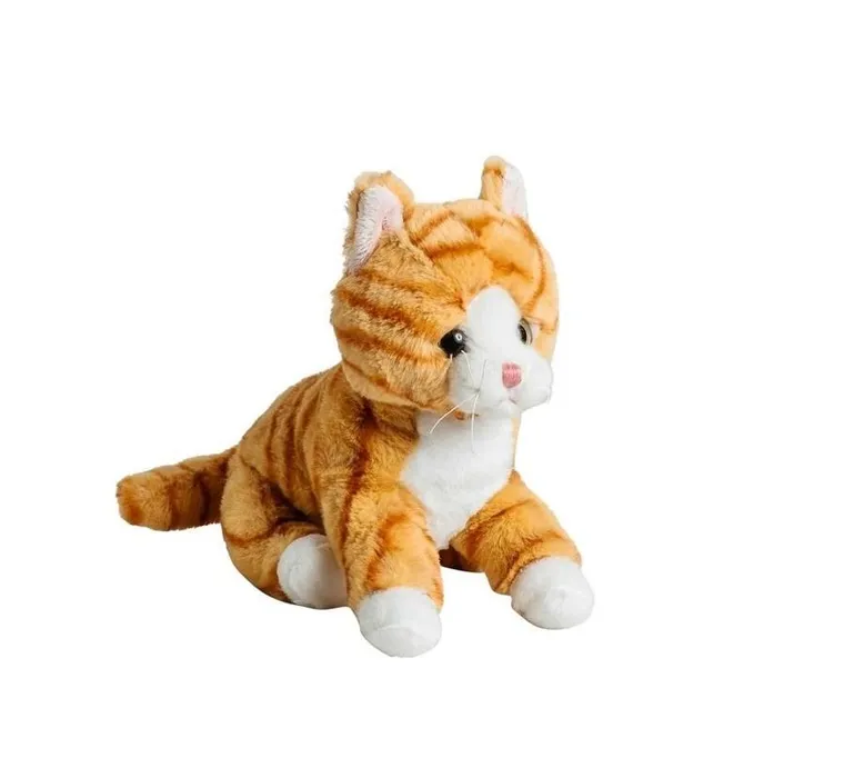 Molli Toys, Kot rudy, maskotka, 20 cm