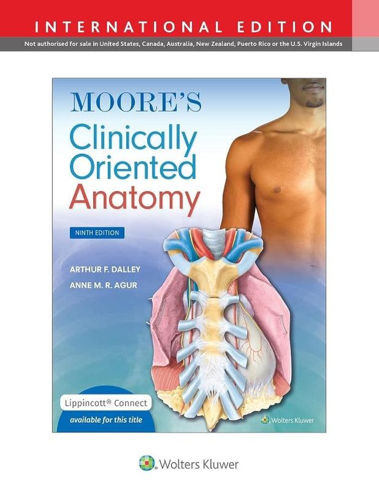 Moore's Clinically Oriented Anatomy (wersja angielska)