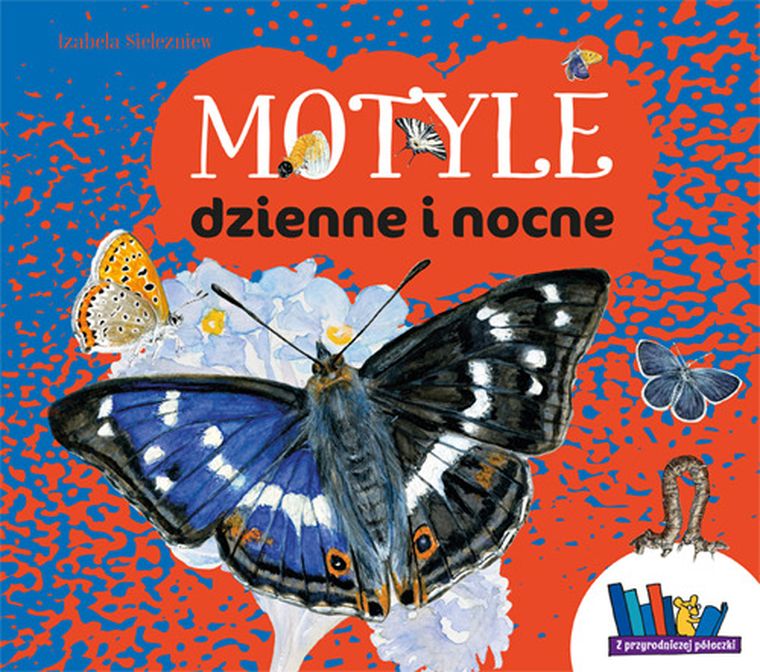 Motyle dzienne i nocne