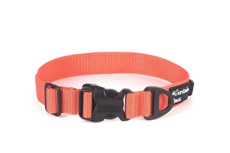 Mountain Paws, obroża dla psa, pomarańczowa, rozmiar M