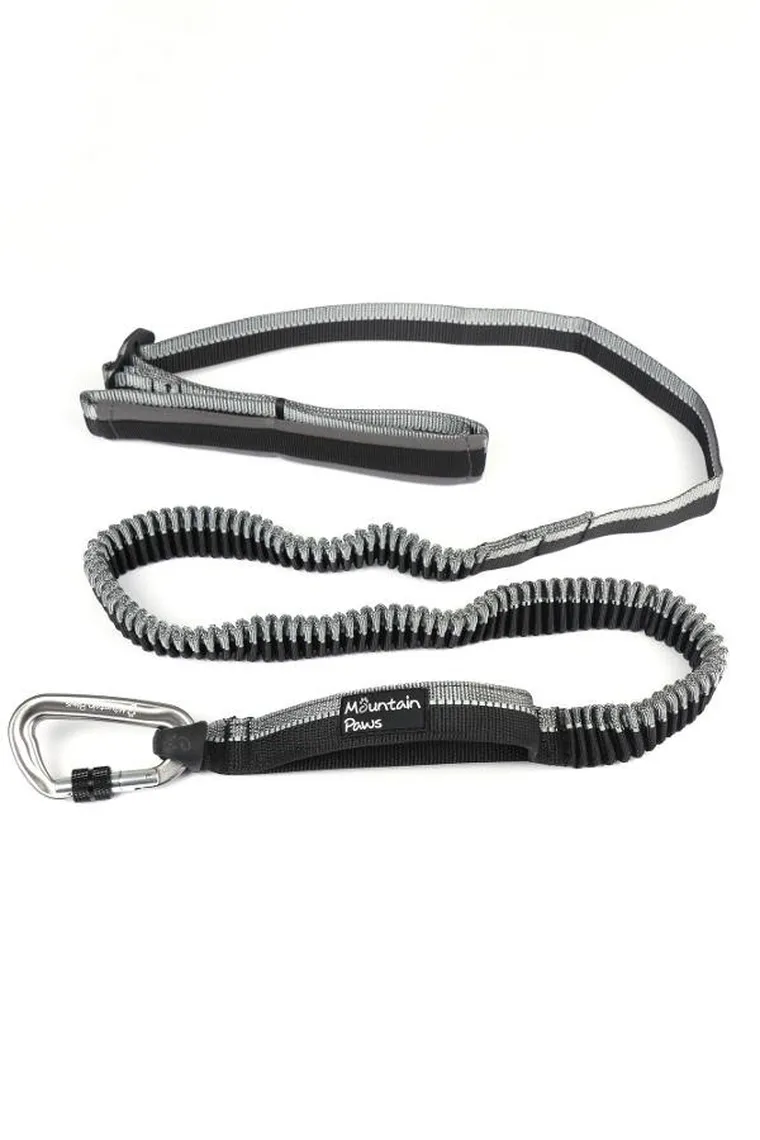 Mountain Paws, smycz do biegania z amortyzatorem, 281 cm
