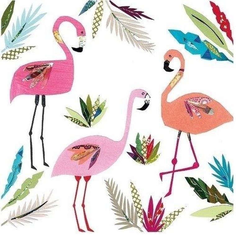 Museums & Galleries, karnet kwadrat z kopertą, 3 Flamingos