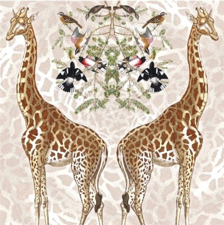 Museums & Galleries, karnet kwadrat z kopertą, Giraffe
