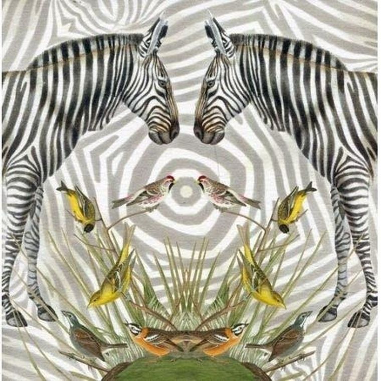 Museums & Galleries, karnet kwadrat z kopertą, Zebra