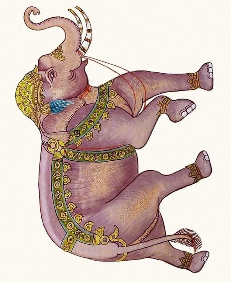 Museums & Galleries, karnet z kopertą, Royal elephant, 17-14 cm