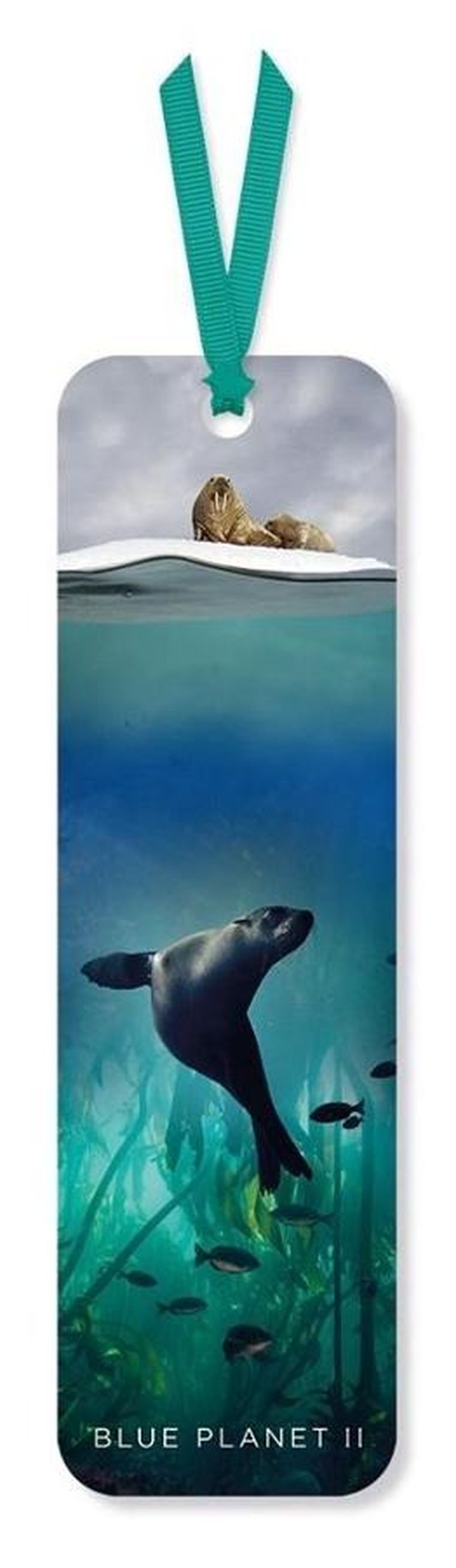 Museums & Galleries, zakładka do książki, Galapagos Sea Lion