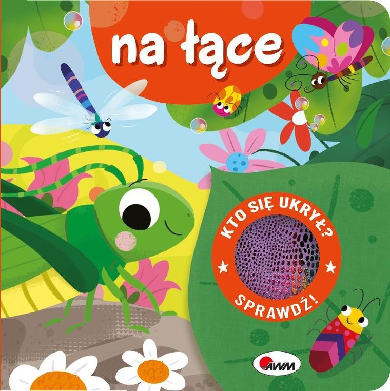 Na łące. Kto się ukrył