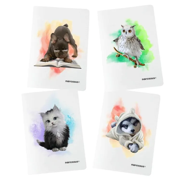 Narcissus, Joy, zeszyt A4, 32 kartek, linia cienka kolorowa, 1 szt.