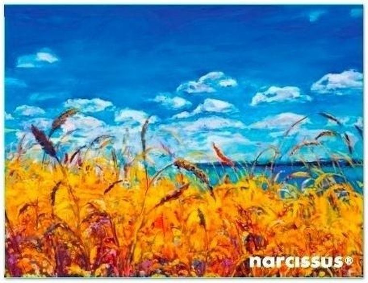 Narcissus, teczka kopertowa A6, PP, Niebo, 1 szt.