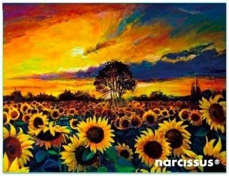 Narcissus, teczka kopertowa A6, PP, Słoneczniki, 1 szt.