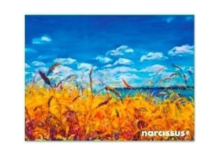 Narcissus, teczka kopertowa, A7, niebo, 1 szt.