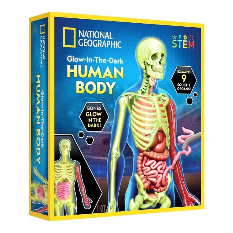 National Geographic, Ciało człowieka, zestaw edukacyjny